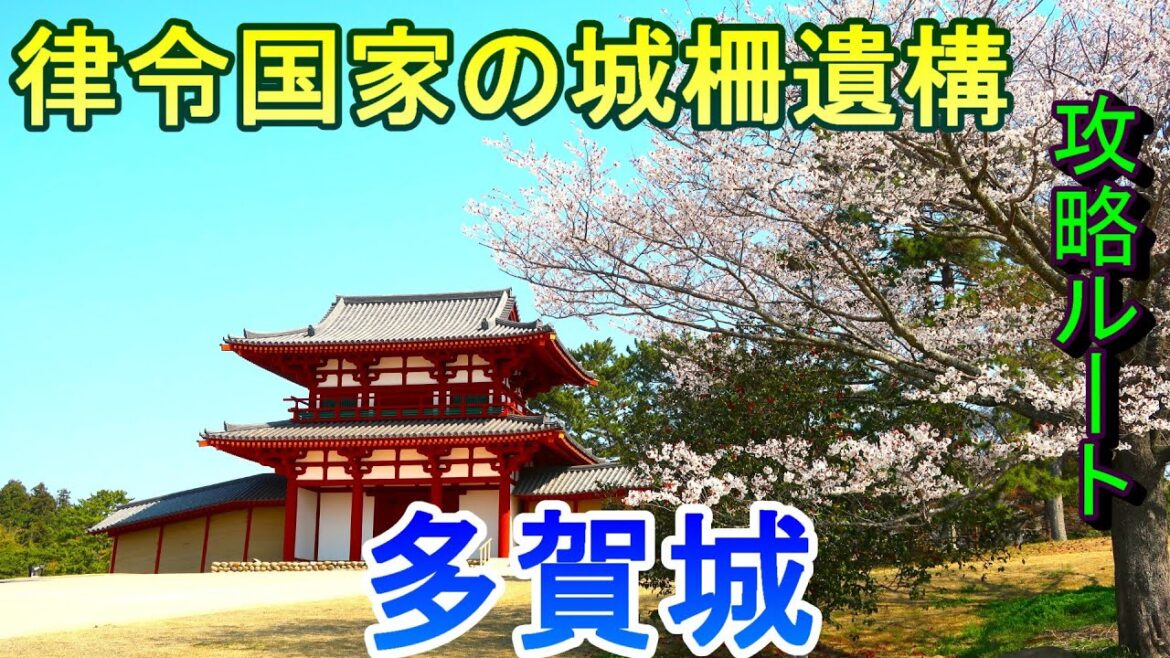 【城めぐり】律令国家の城柵遺構 多賀城 宮城県【攻略ルート】 【城めぐり】律令国家の城柵遺構 多賀城 宮城県【攻略ルート】