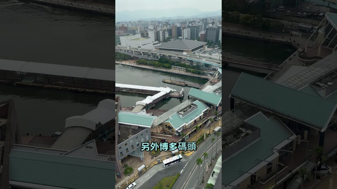 【下班ほ七逃】【2024福岡自由行】博多港 福岡觀光推推🔥博多港塔眺望港邊景色❤️ #日本 #九州 #福岡 #japan #kyushu #fukuoka #觀光 #vlog #博多港 #博多港塔