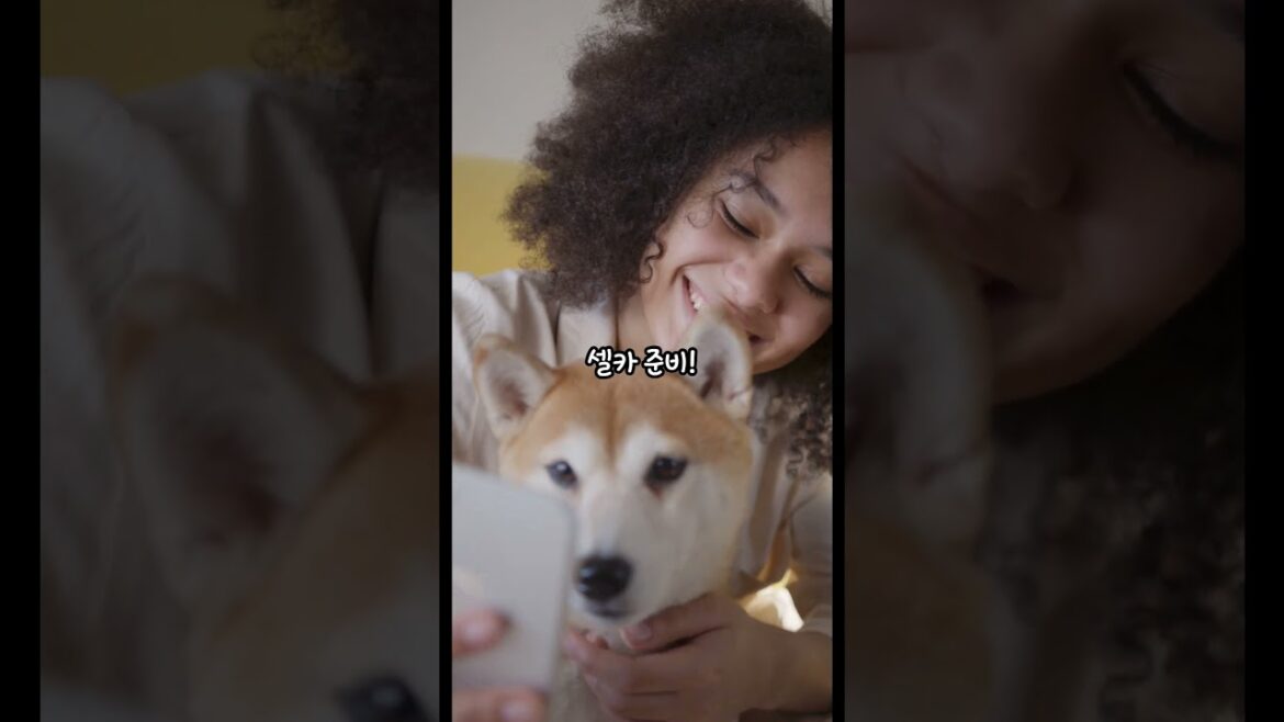 5월 인기 해외여행지 총 정리! 안 떠나면 손해임!!#지식 #여행