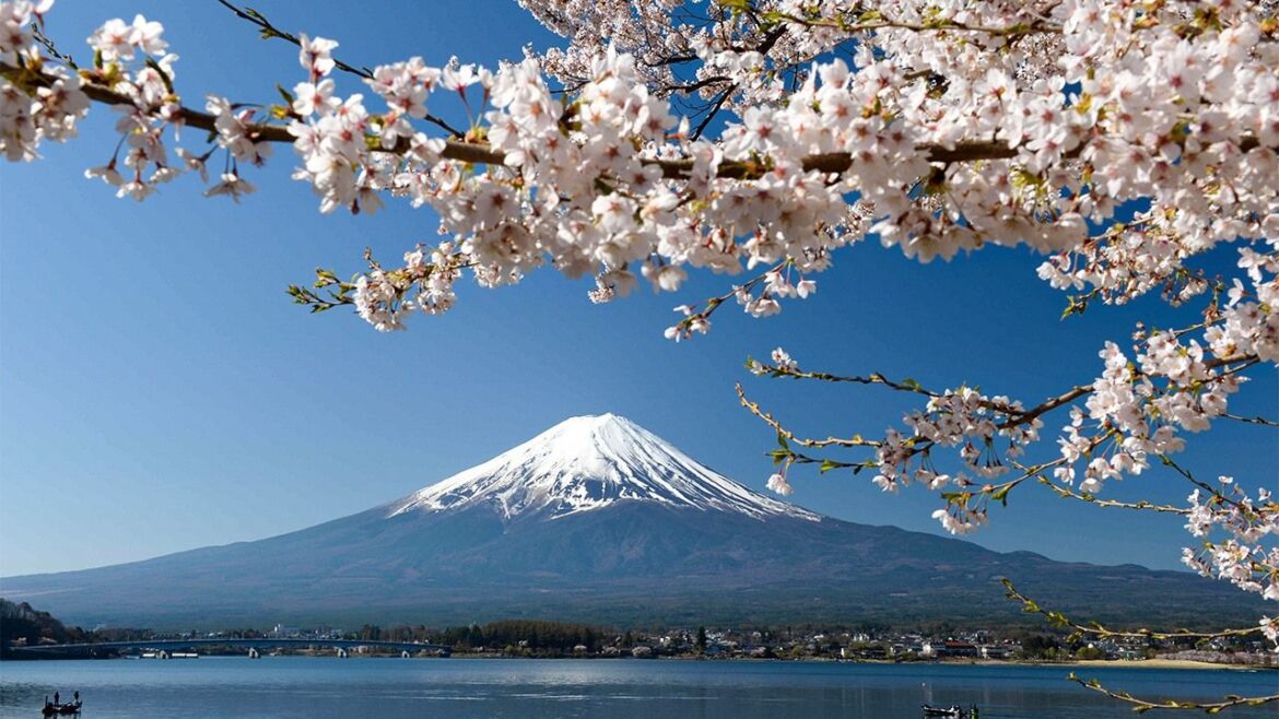 Japan Sees Record Number of Overseas Visitors to National Parks in 2024 Japan Sees Record Number of Overseas Visitors to National Parks in 2024