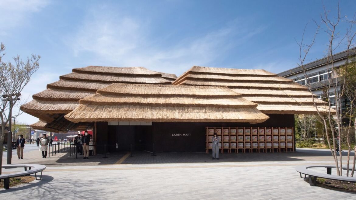 Earth Mart: Cycle of Lives