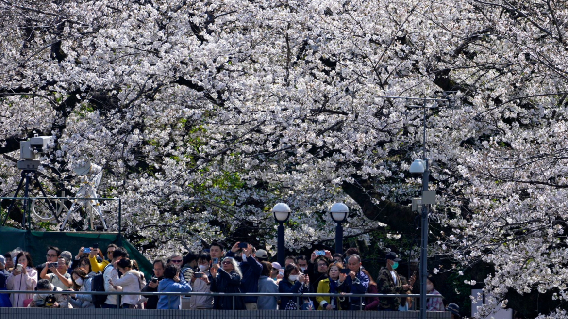 Japan's hotel stays hit record high in Feb with inbound tourism surge