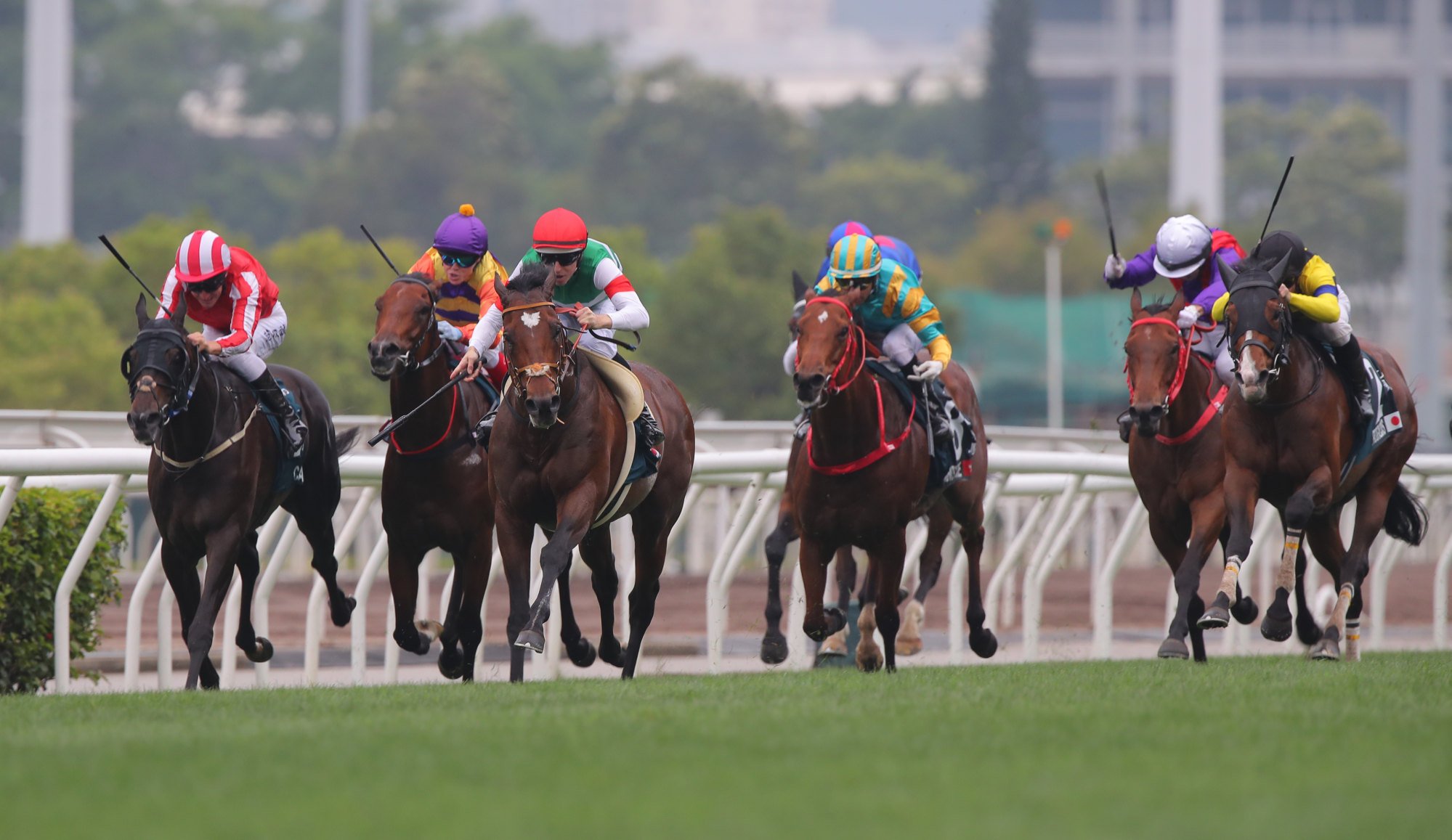 Tastiera (red cap) begins to pull clear of runner-up Prognosis (far right).