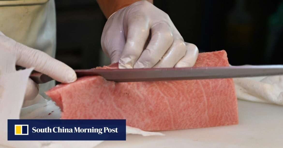 How fatty is your tuna? New Japanese machine uses ultrasound to find out