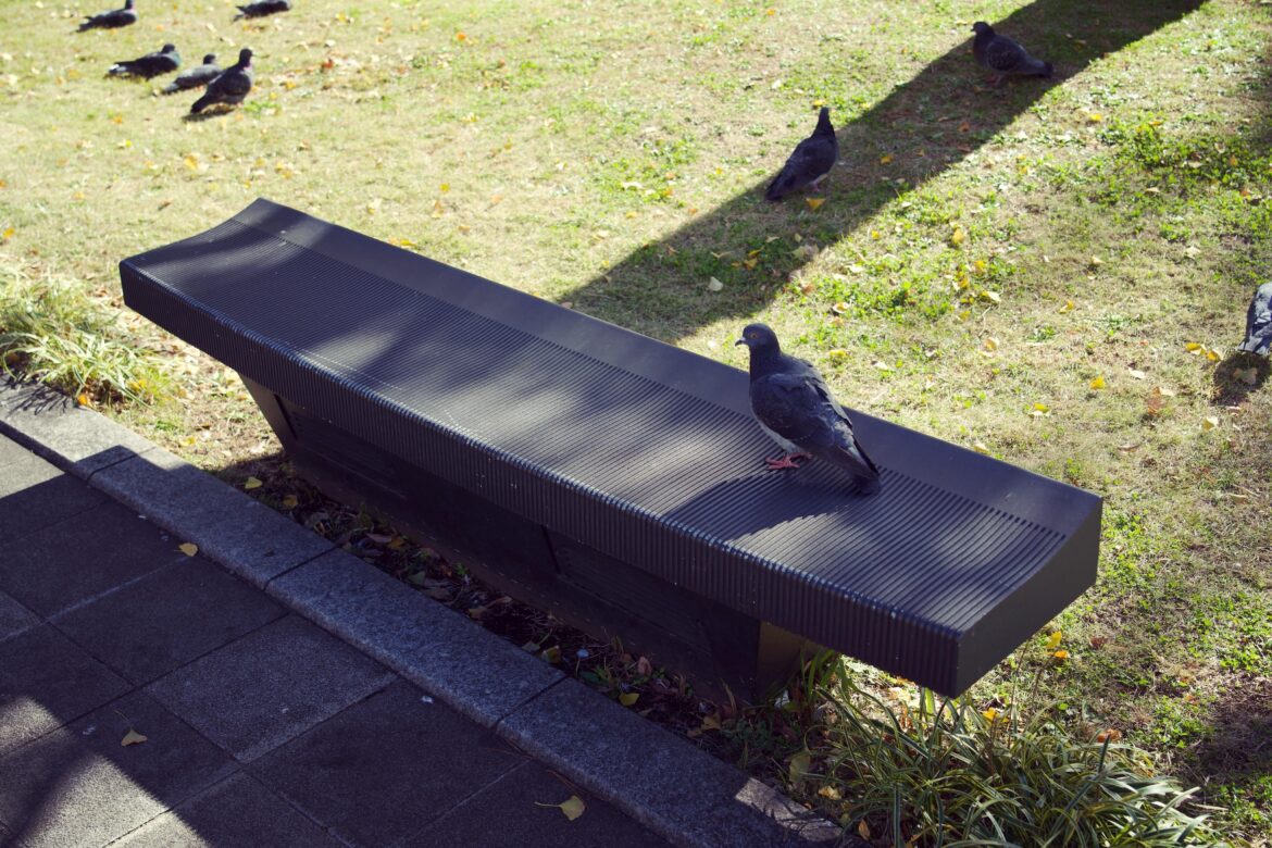 Take a seat in Tokyo