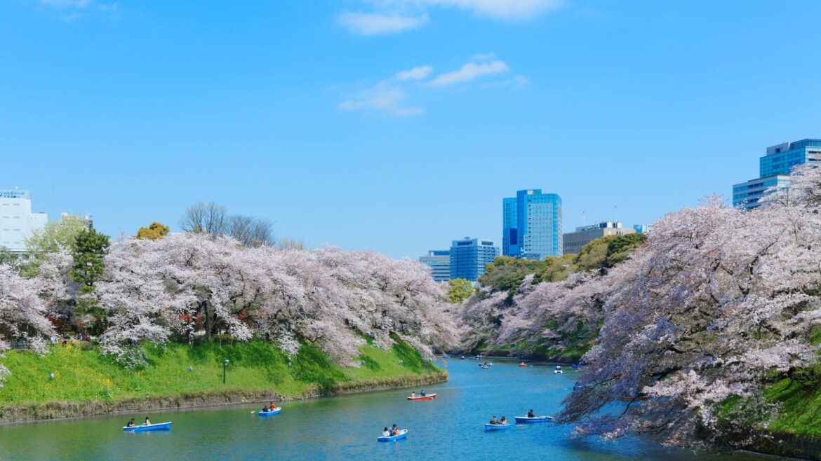 Spring Guide | The Official Tokyo Travel Guide, GO TOKYO Spring Guide | The Official Tokyo Travel Guide, GO TOKYO