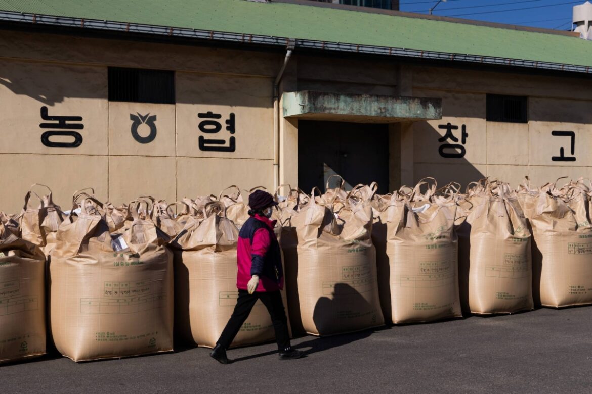 Japan buys first South Korean rice in over two decades as prices surge Japan buys first South Korean rice in over two decades as prices surge
