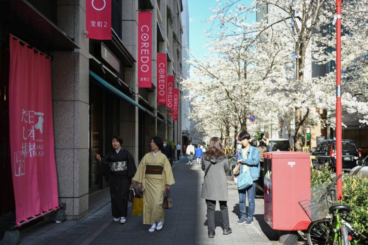 Japanese supermarket sales up for fifth straight year in fiscal 2024 Japanese supermarket sales up for fifth straight year in fiscal 2024