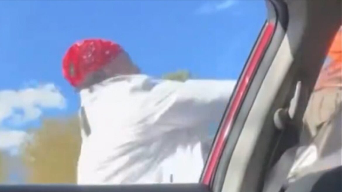 Tokyo Toni Fights Ex-Roommate for Alleged Stealing, Woman Claims Sexual Harassment Tokyo Toni Fights Ex-Roommate for Alleged Stealing, Woman Claims Sexual Harassment