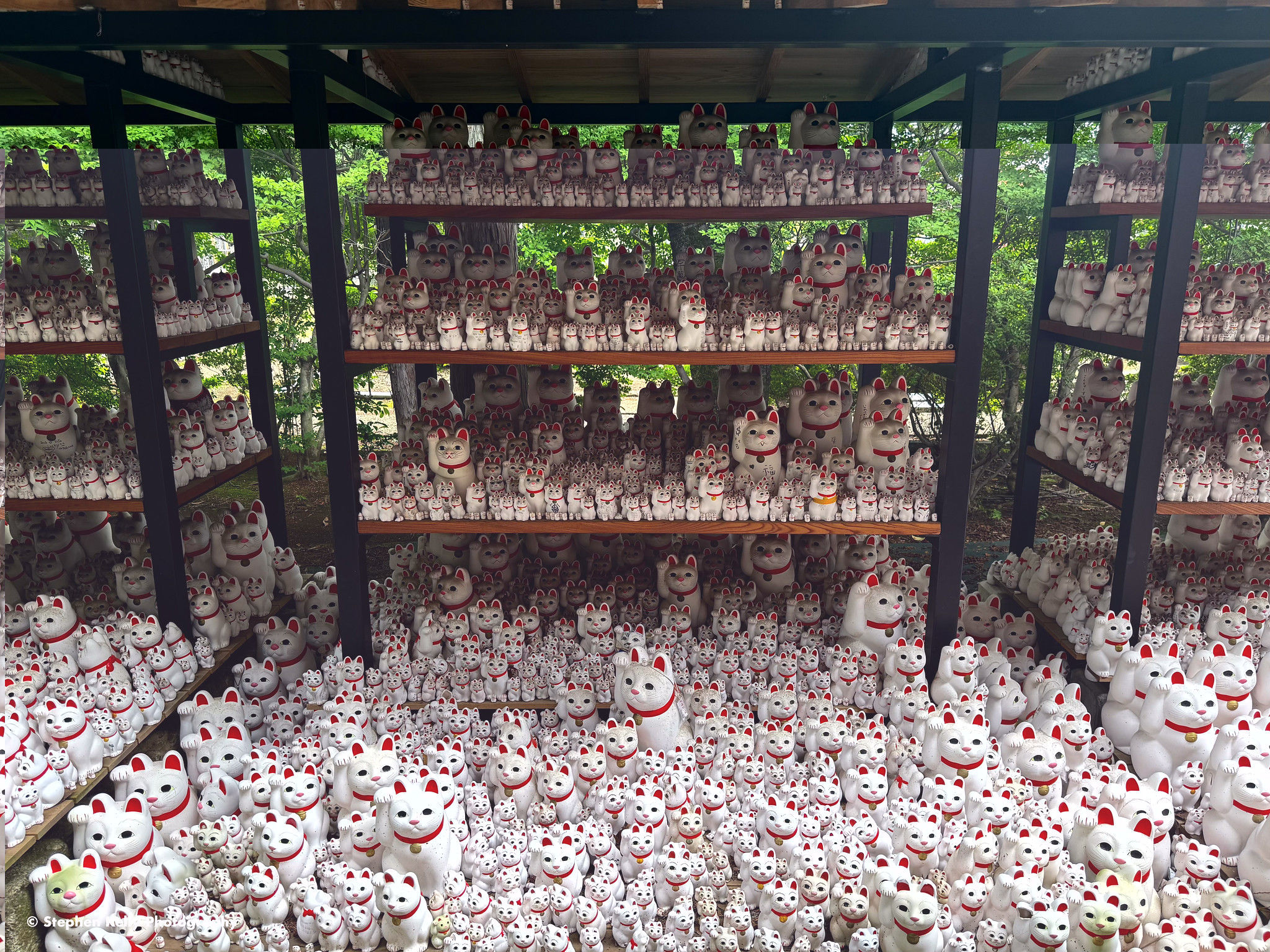 Lucky Cats at Gotokuji Temple