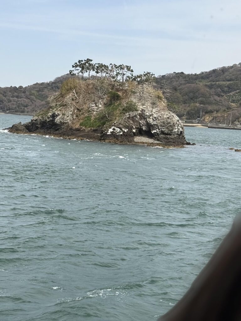 I lived in Matsuyama (Shikoku) in 95 and 96. It has really gown up in 29 years!