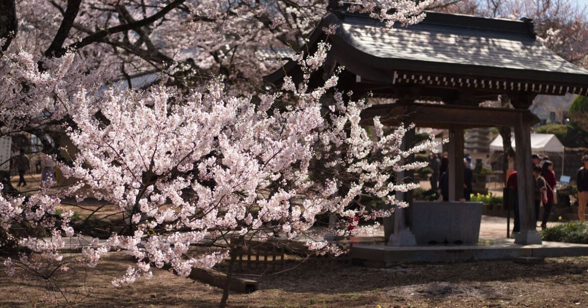 Most beautiful city to visit in Spring, and it’s at its best in May | Asia | Travel Most beautiful city to visit in Spring, and it's at its best in May | Asia | Travel