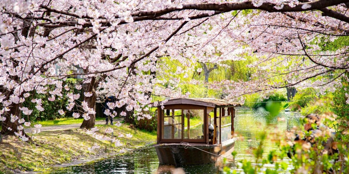 Mistakes I Made Visiting Japan for the First Time