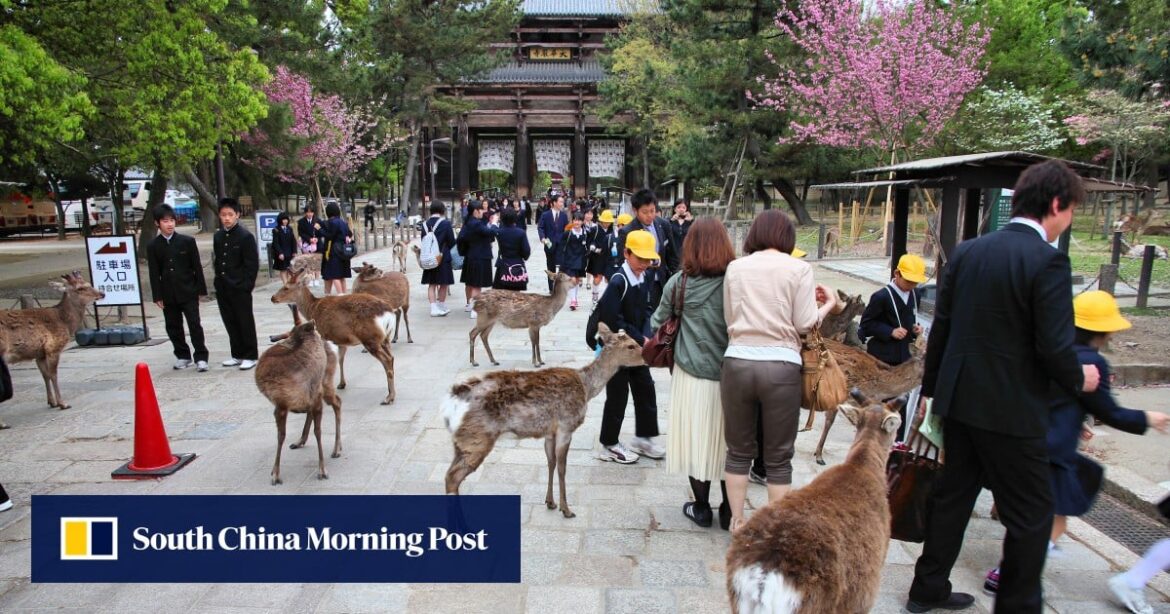 Oh, deer: Japan’s Nara boosts police patrols to curb animal abuse Oh, deer: Japan’s Nara boosts police patrols to curb animal abuse