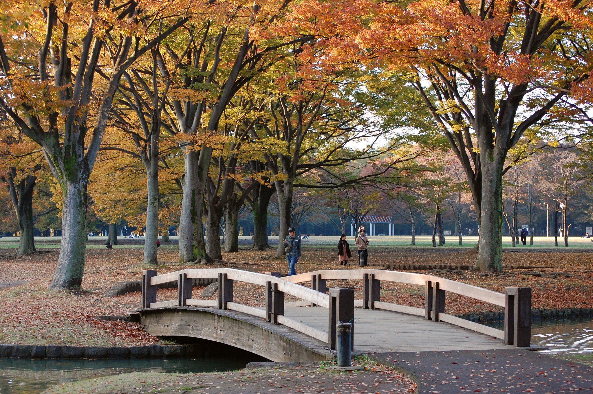  Yoyogi Park