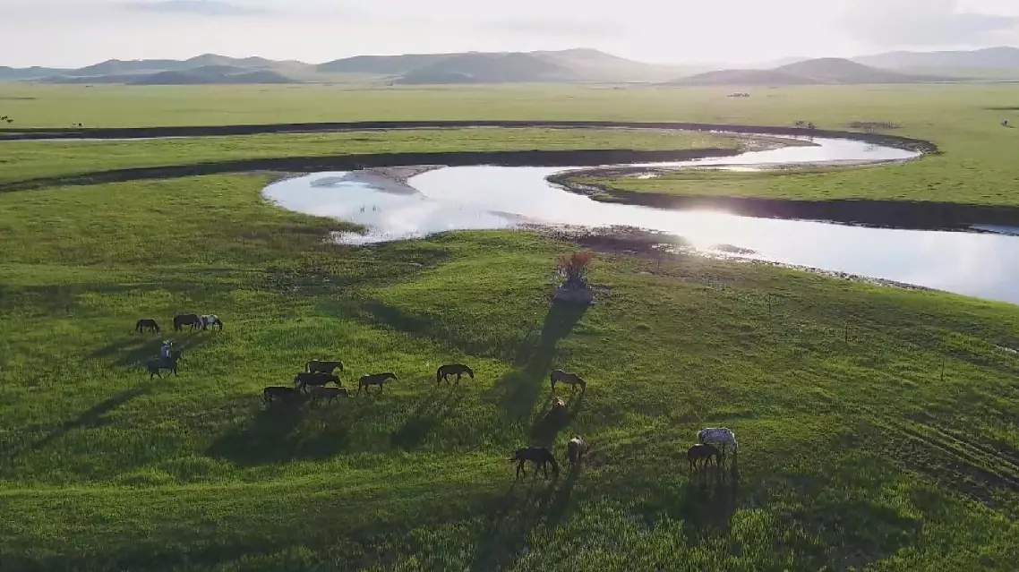 China restores grassland area equivalent to size of Belgium each year amid ecological protection push