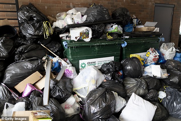 Bin strikes in Birmingham have blighted the city, with residents reportedly seeing 'rats the size of cats'