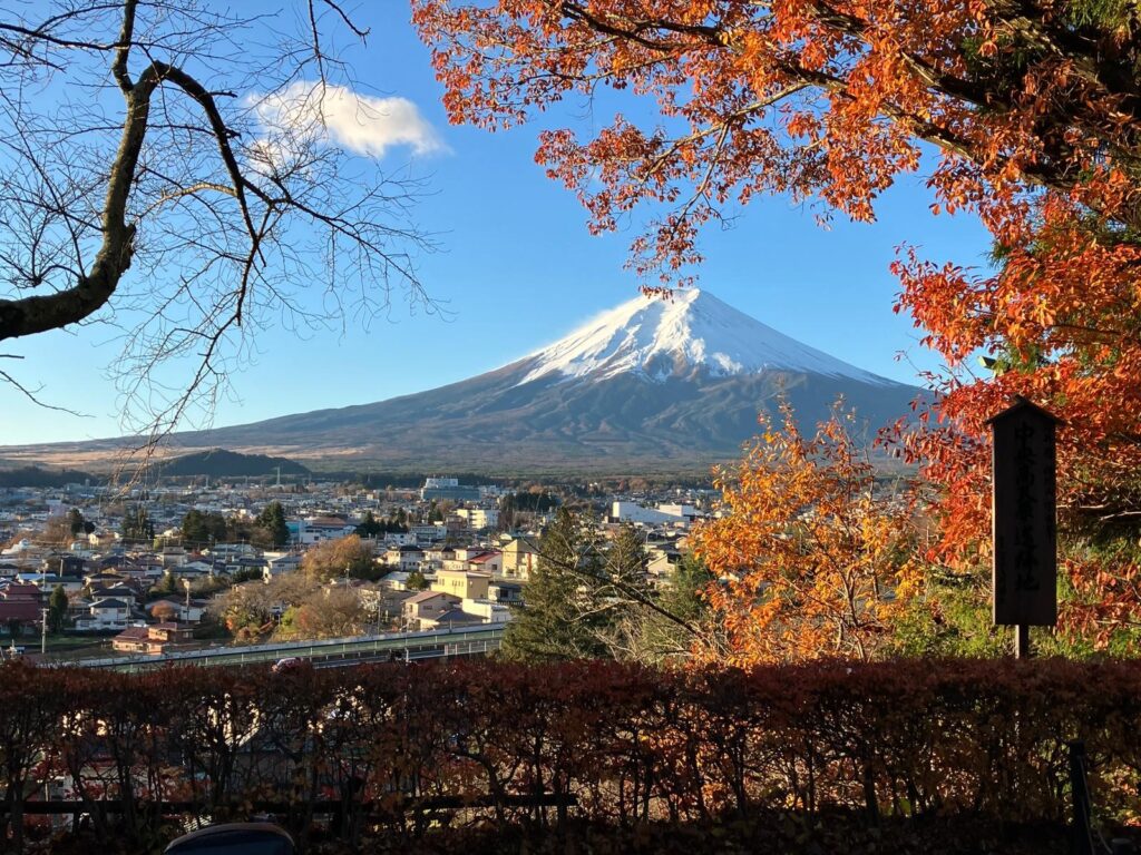 Fuji San 