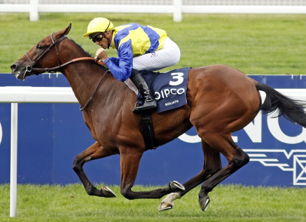 Goliath Takes On Japan In QEII Cup