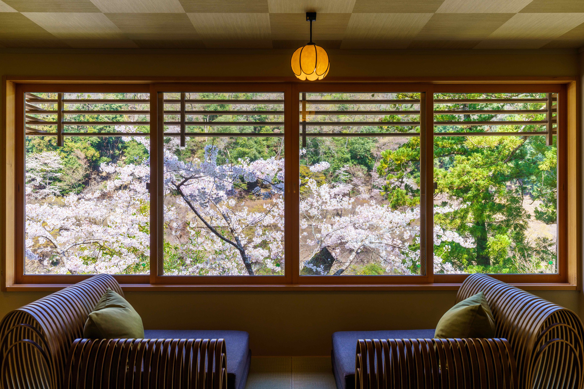 Windows overlooking cherry blossom at Hoshinoya