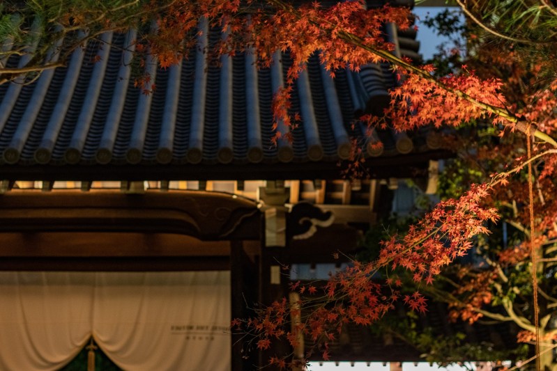 Autumn gate, Hotel the Mitsui Kyoto