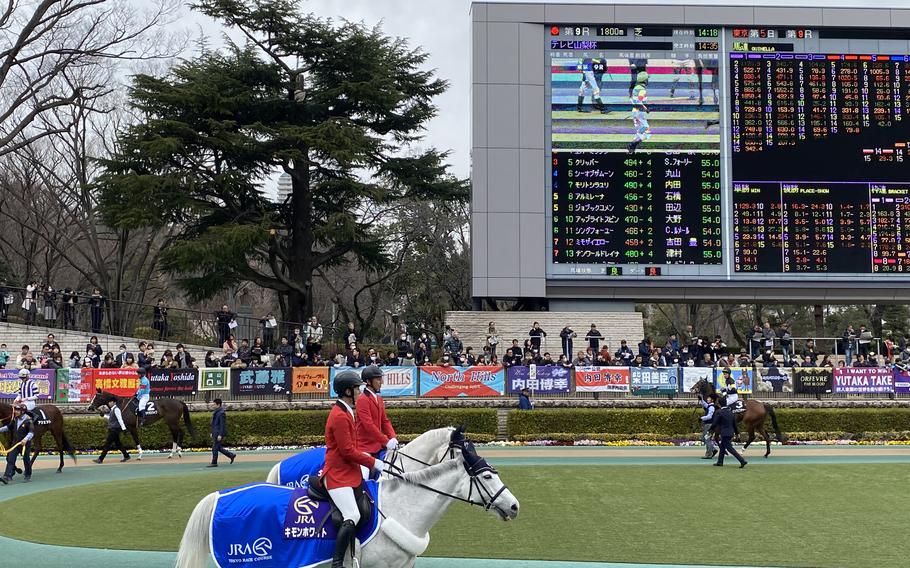 Tokyo Racecourse paddock