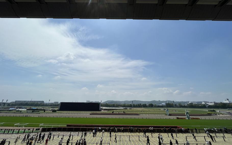 Tokyo Racecourse