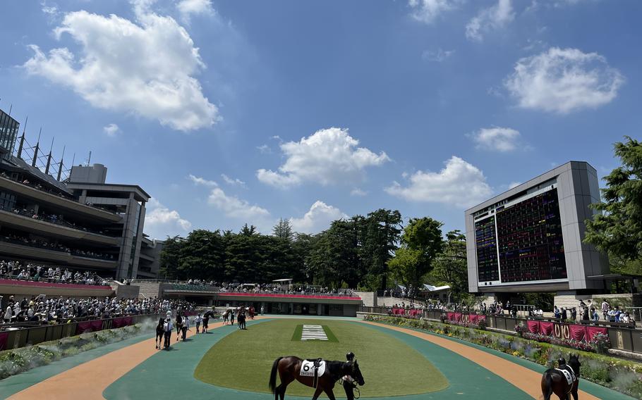 Tokyo Racecourse paddock