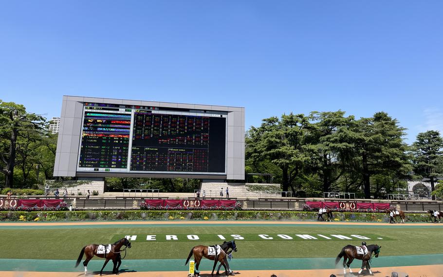Tokyo Racecourse paddock