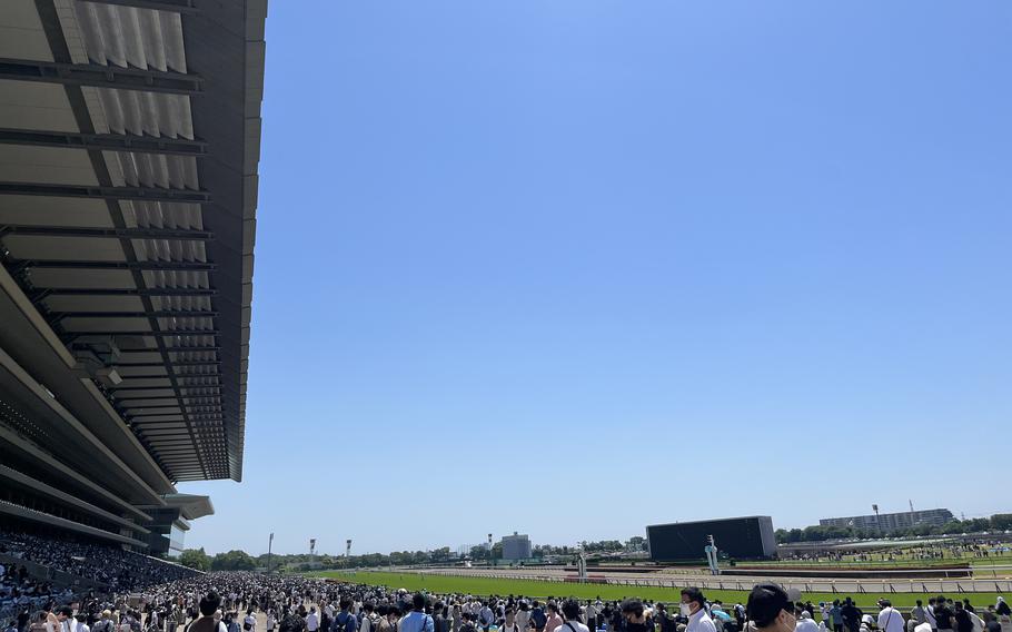 Tokyo Racecourse