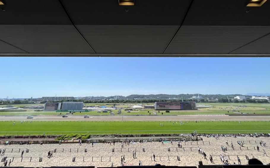 Tokyo Racecourse