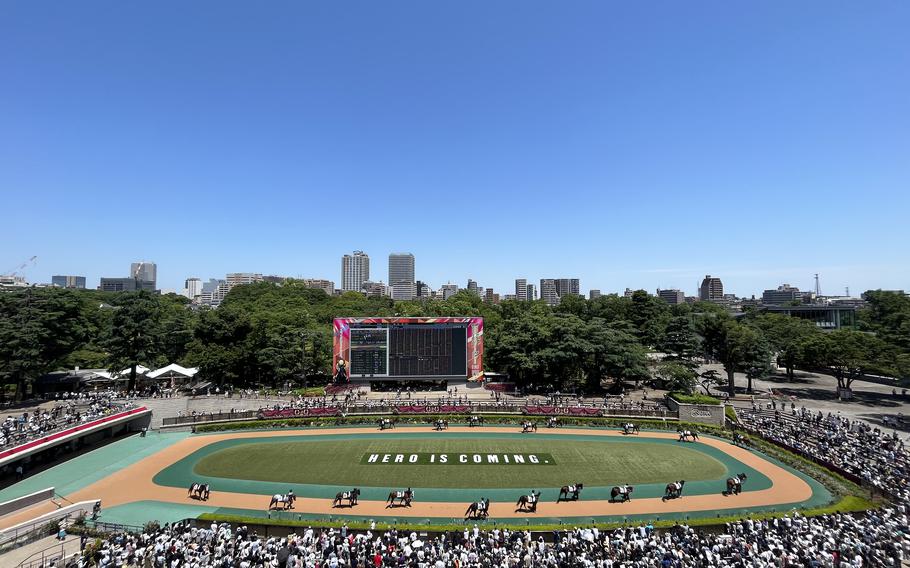 Tokyo Racecourse paddock