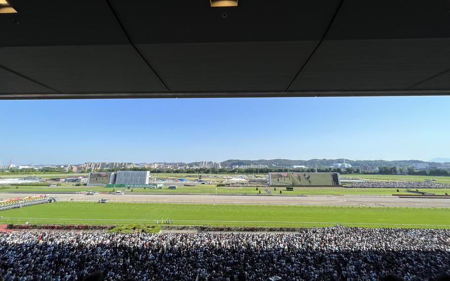 Tokyo Racecourse