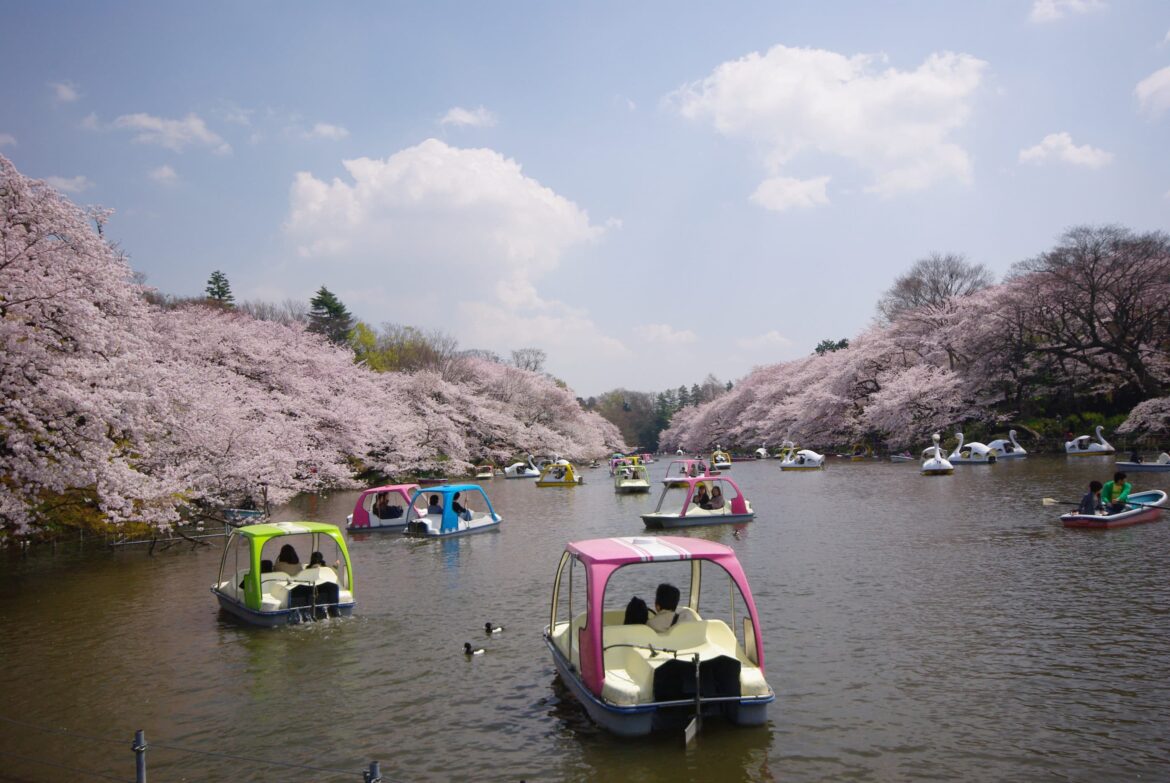 20 Things To Do In Tokyo With Kids: Family Activities We Love 20 Things To Do In Tokyo With Kids: Family Activities We Love