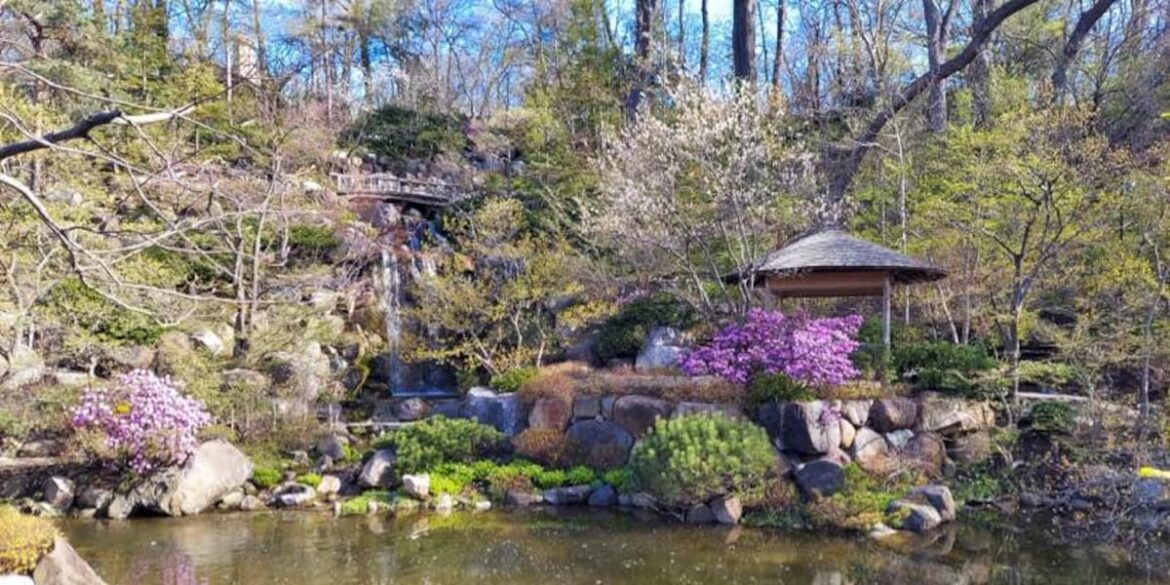 Anderson Japanese Gardens holds event to celebrate International Peace Day Fresco at the Gardens returns to Rockford for the season