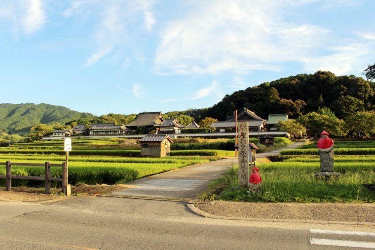 Rice paddies and village houses in Asuka (Photo: leodaphne/Getty Images)