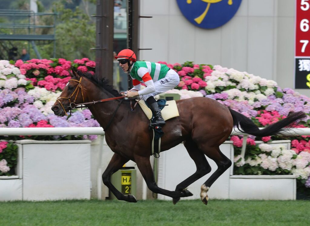 Victory And Heartbreak For Japan, As Tastiera Secures QEII Cup