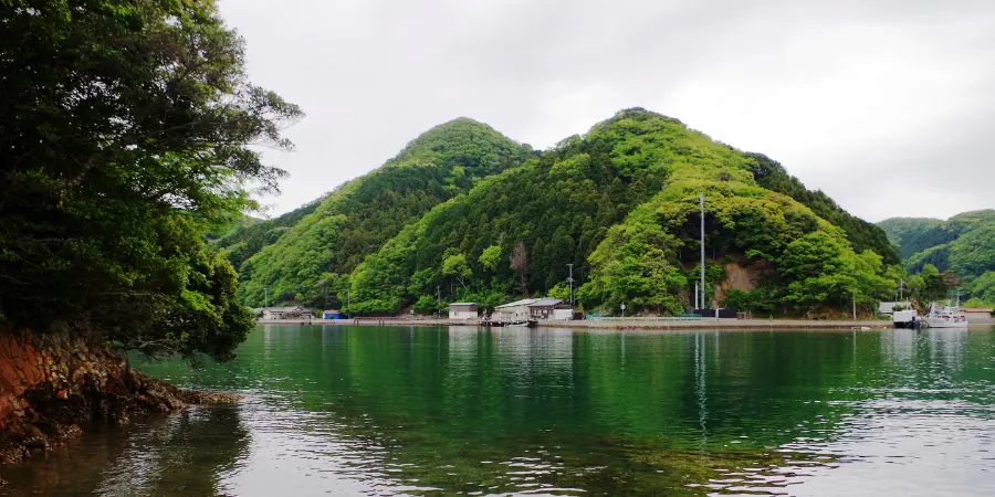 Forested mountains surrounded by water