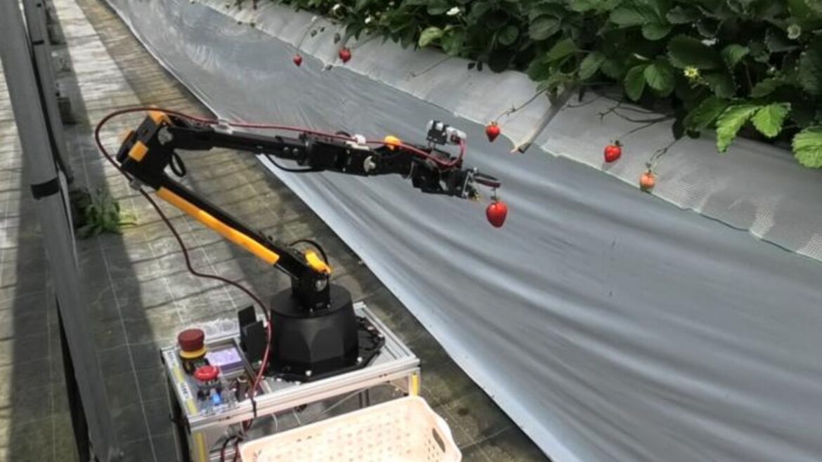 Japan’s strawberry-harvesting robot eliminates human labor on farms Iron: China’s humanoid robot gets supercomputer-like brainpower, eagle-eye vision