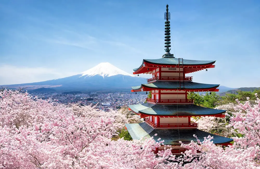 Japanese temple in Tokyo and Mt Fuji framed by cherry blossoms. Image: Wendy Wu Tours