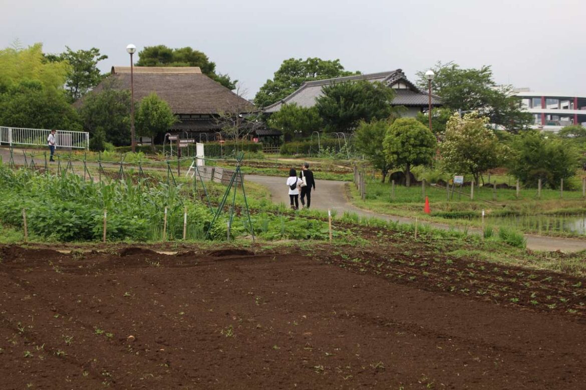 A Tokyo Agricultural Park to See, Taste, and Learn About Japan’s Seasonal Wonders auap-750-adachi-nogyoen-minka--230611_001716_3883_eos