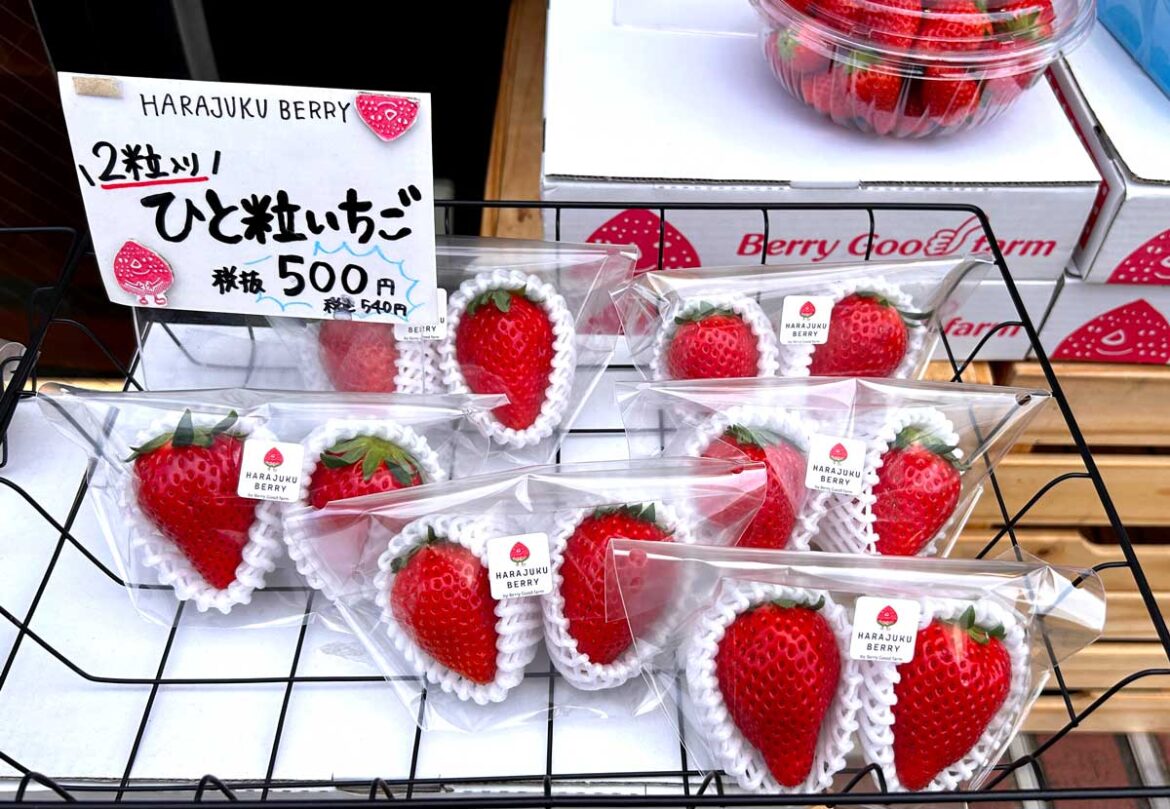 Your essential guide to not screwing up in Japan