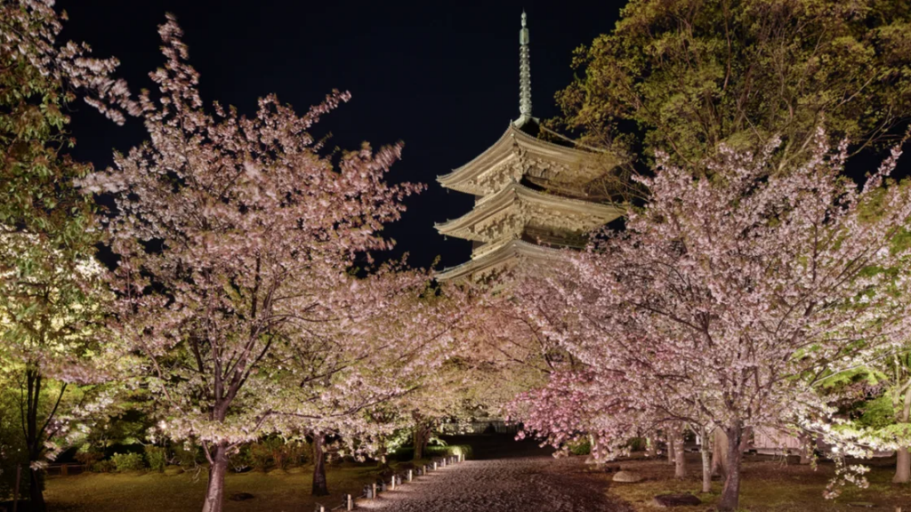 Dior Finds A Home Among The Cherry Blossoms In Kyoto