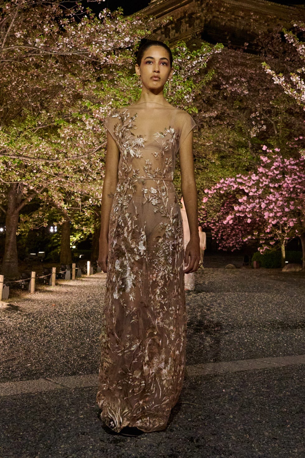 dior japan