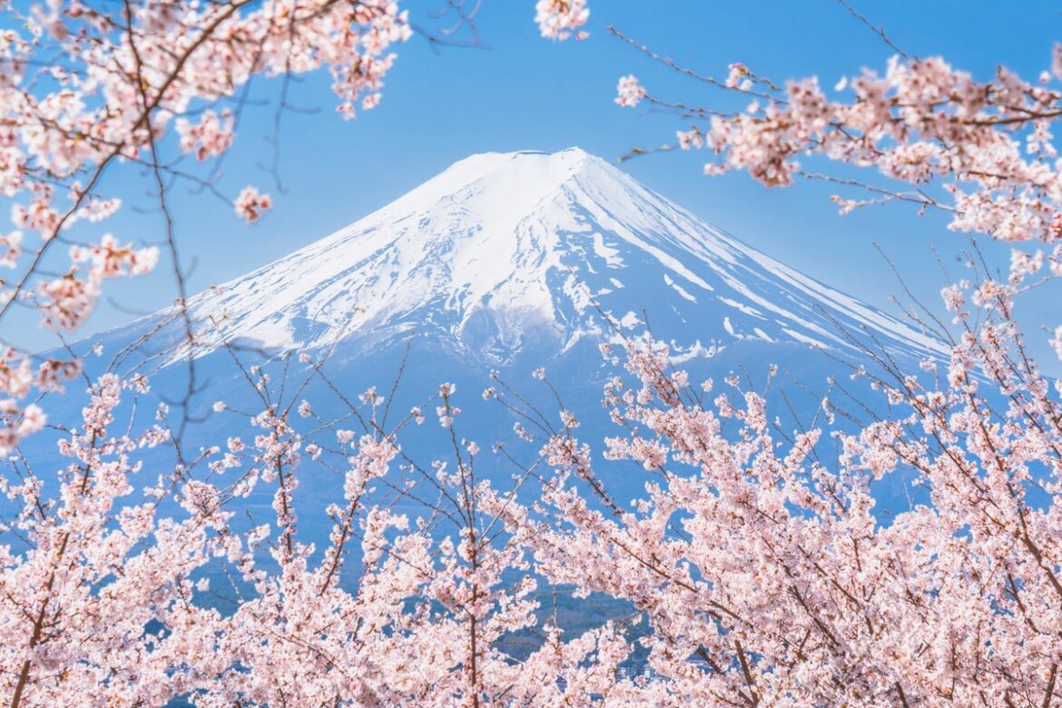 Japan set to charge Mount Fuji climbers entry fees on all trails to curb overtourism Japan set to charge Mount Fuji climbers entry fees on all trails to curb overtourism