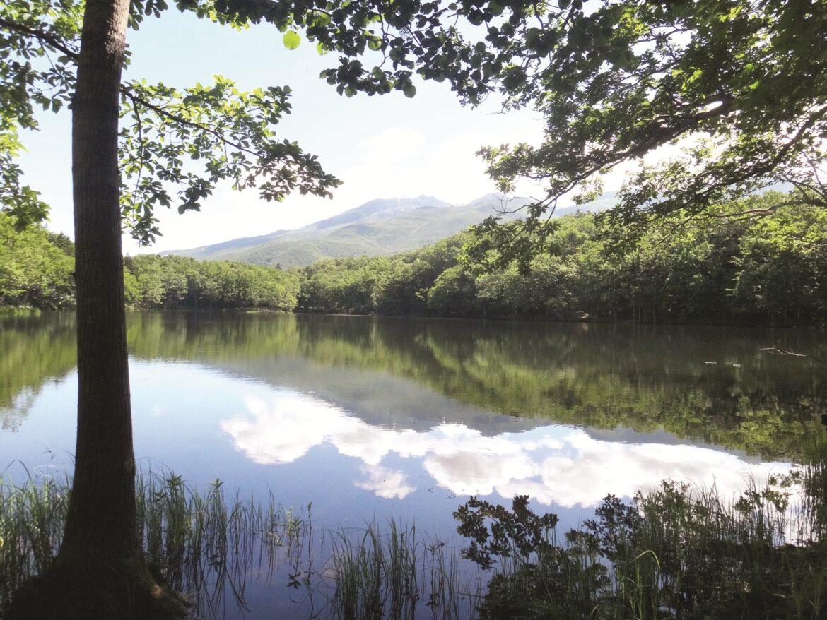 An invitation to see a side of Japan few ever experience