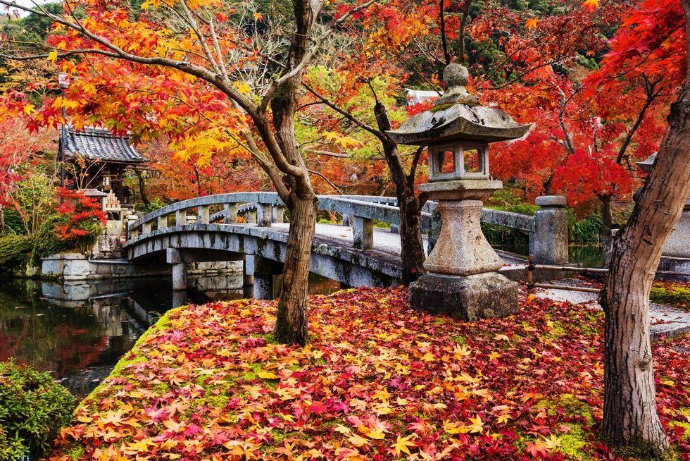 fall colors at eikan do temple, kyoto