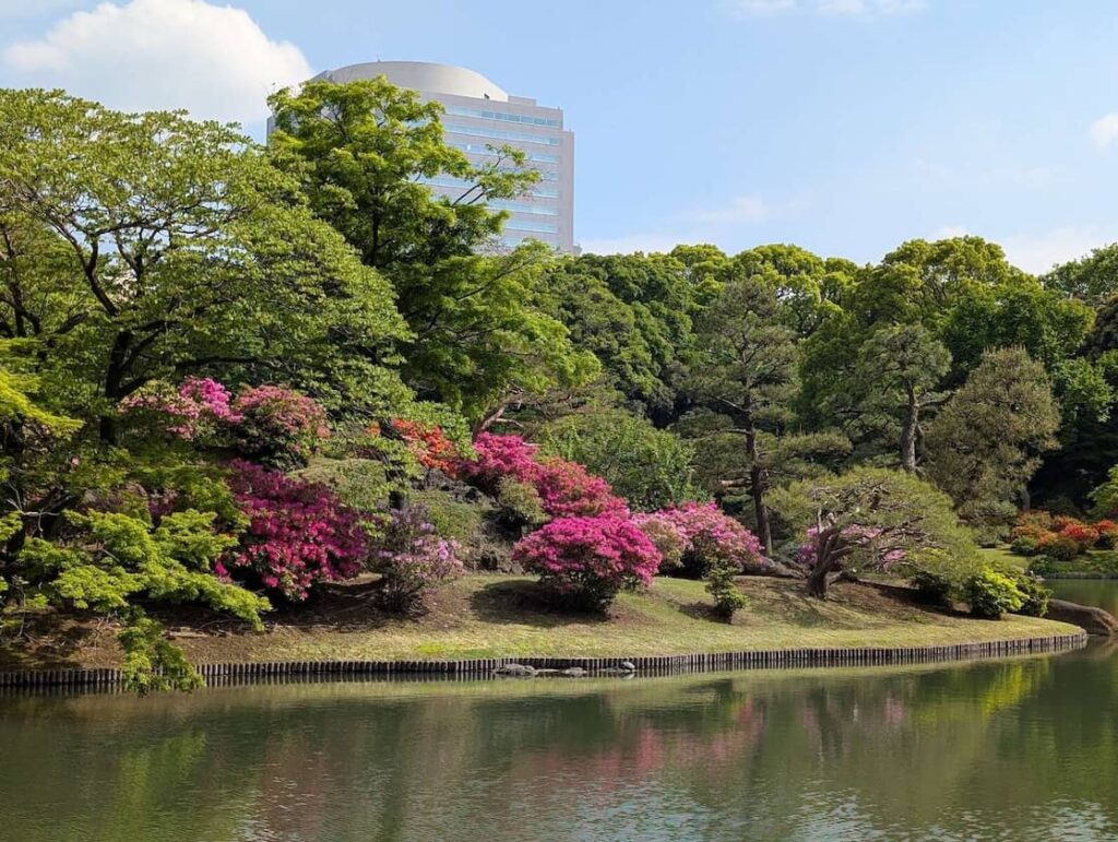 gasa-135-rikugien-azalea-island--250424_142057_052055704_raw-01_mp_cover_pxl-min