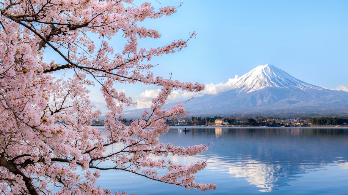 Wowcher Mystery Holiday Japan: How to book holiday to Japan for only £99 now – Travel icon