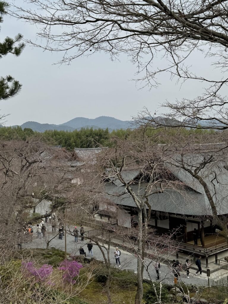 Some of my favorites from my recent visit.